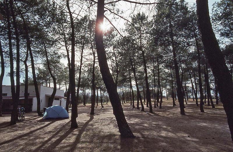 WT 2300 311-23 Spain.jpg